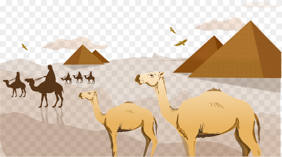 Clip Art Sahara Arabian Clip Art Egypt Sahara Desert Clip Art, Animal, Camel, Mammal, Antelope Free Transparent Png