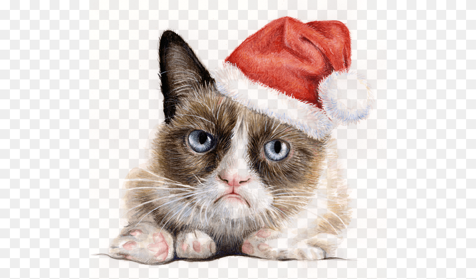 Clip Art Santa Cat, Painting, Animal, Mammal, Pet Png
