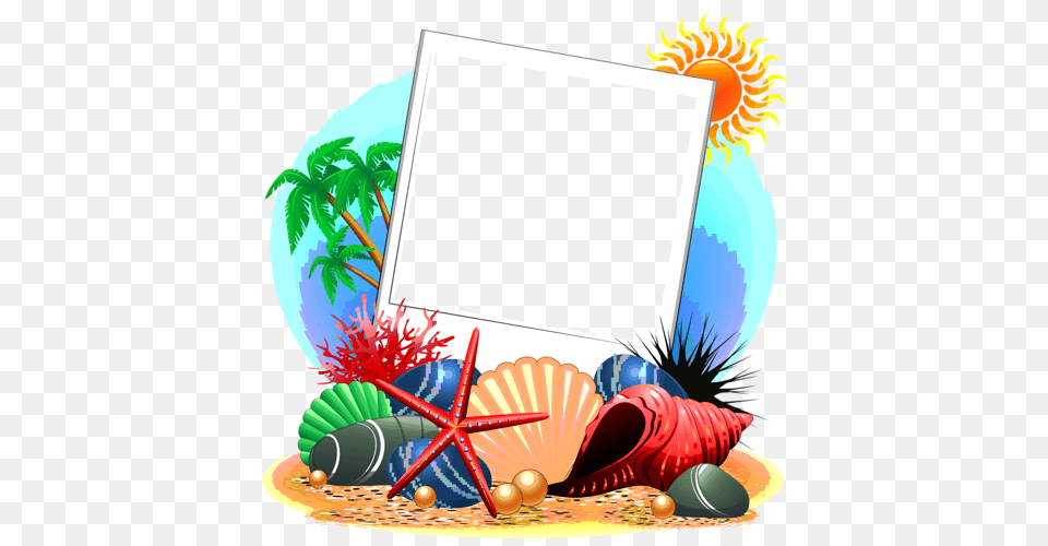 Clip Art Scrapbook Blank Sign, Animal, Invertebrate, Sea Life, Seashell Free Transparent Png