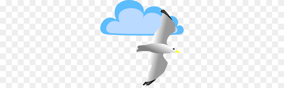 Clip Art Seagull Flying, Animal, Bird, Waterfowl, Beak Png Image