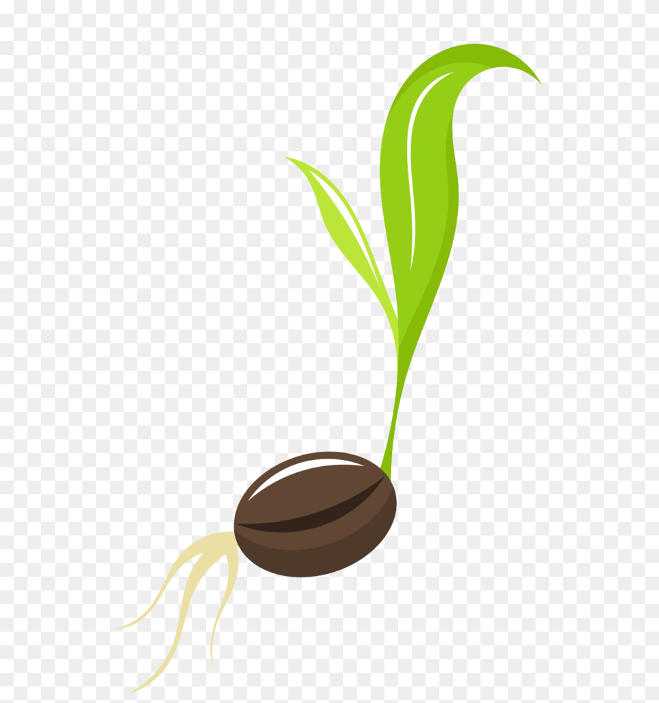 Clip Art Seed, Plant, Sprout Free Png Download