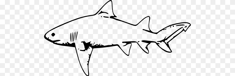 Clip Art Sharks Shark Cute, Animal, Fish, Sea Life, Great White Shark Free Transparent Png