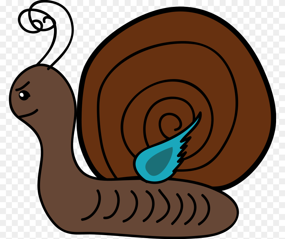 Clip Art Shell, Animal, Invertebrate, Snail Free Png Download