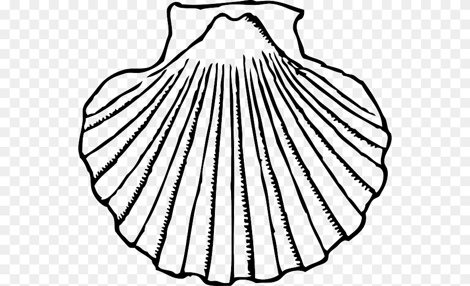 Clip Art Shells Clipart Black And White Scallop Black And White, Animal, Clam, Food, Invertebrate Free Png