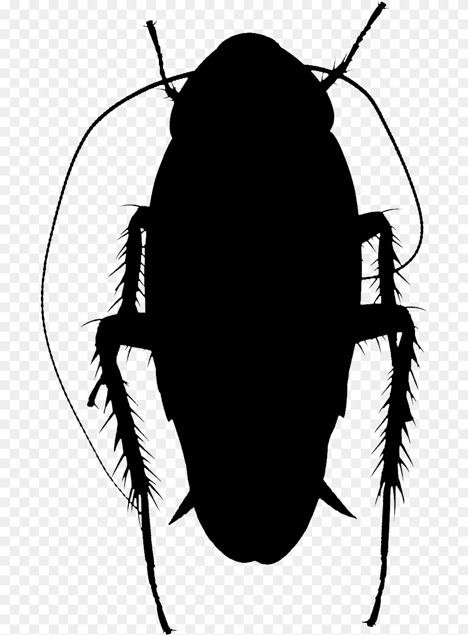 Clip Art Silhouette Insect Membrane Ground Beetle, Gray Free Png