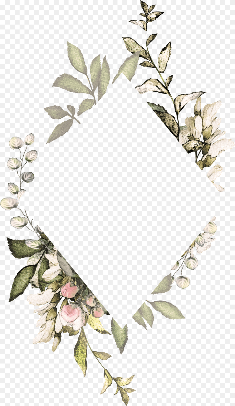 Clip Art Silver Eucalyptus Flower Frame Transparent Background Png Image