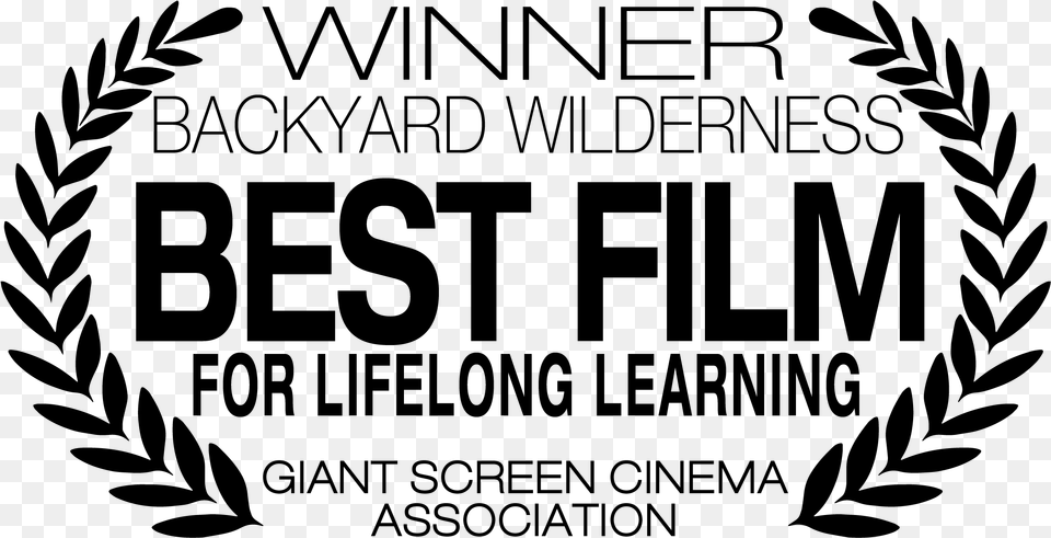 Clip Art Sk Films Award Winning Parallel, Gray Free Transparent Png