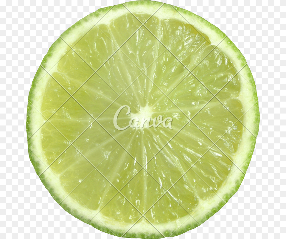 Clip Art Sliced Lime Key Lime, Citrus Fruit, Food, Fruit, Plant Free Transparent Png