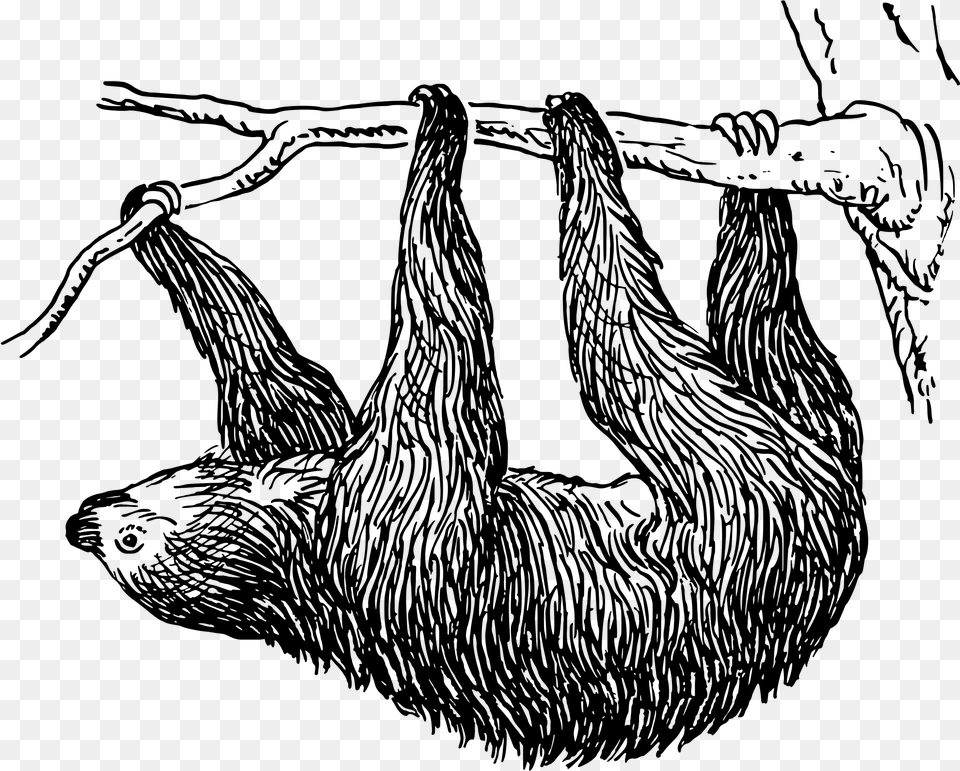 Clip Art Sloth Svg Sloth Black And White Clip Art, Gray Png Image