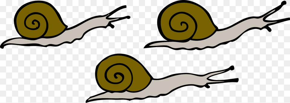 Clip Art Snails, Animal, Invertebrate, Snail, Spiral Png Image