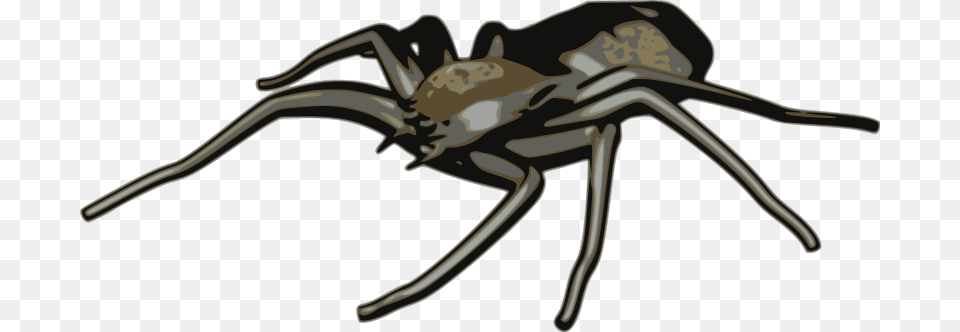 Clip Art Spider Clipart Clipartcow, Animal, Invertebrate Free Png