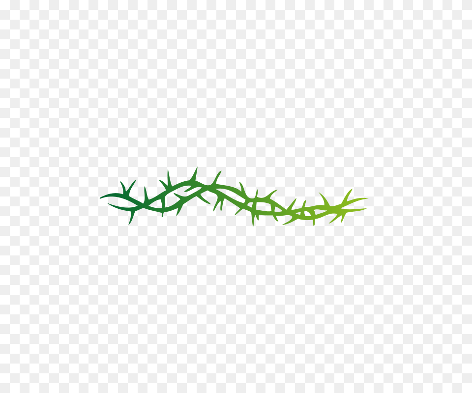 Clip Art Spine, Wire, Animal, Lizard, Reptile Free Transparent Png