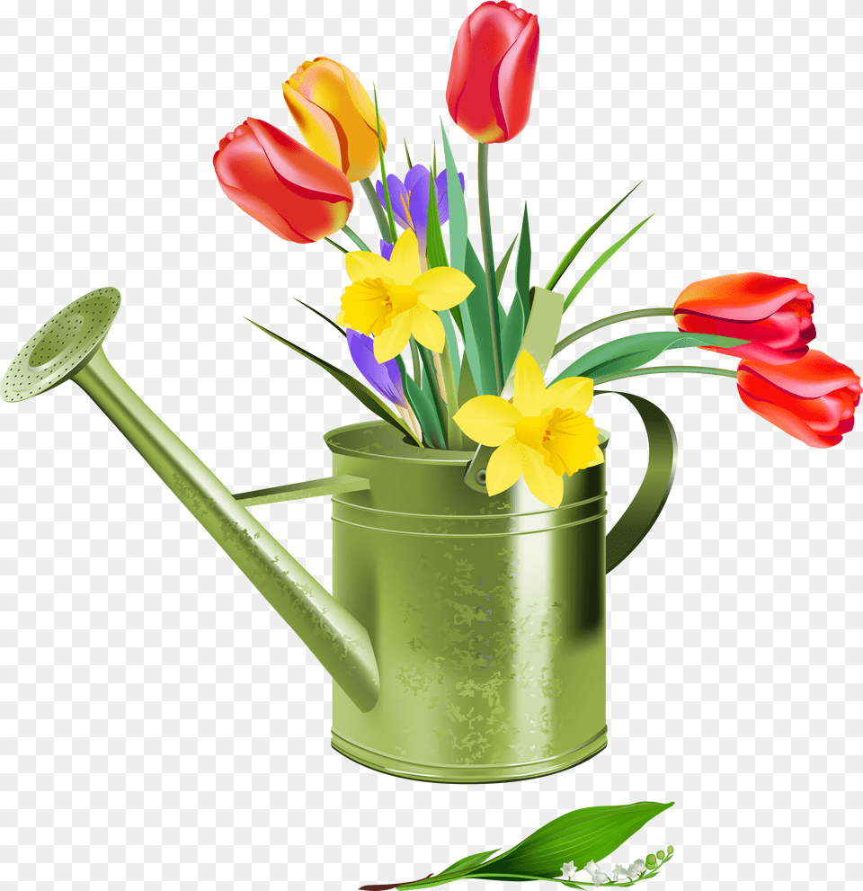 Clip Art Spring Flowers, Flower, Flower Arrangement, Plant, Tin Free Png