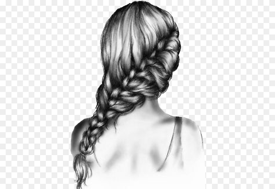 Clip Art Stock Drawing Braid Sketch Pencil Shading Of Hair, Adult, Female, Person, Woman Free Transparent Png