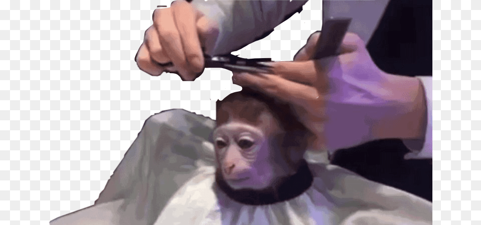 Clip Art Stock Maqauqe Haircutmonkey Haircutfreetoedit So Basically Im Monkey, Haircut, Hairdresser, Person, Adult Png Image