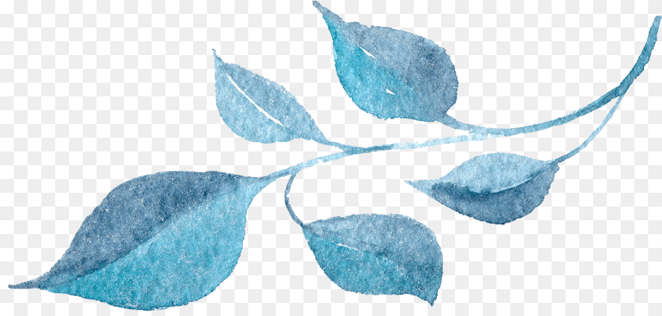 Clip Art Stock Watercolor Flower Blue Flowers Background, Leaf, Plant, Annonaceae, Tree Free Png