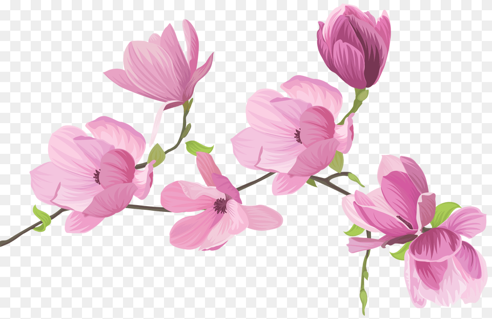 Clip Art Sweet Pea Flower Background Flower Clipart, Graphics, Plant, Petal, Floral Design Free Transparent Png