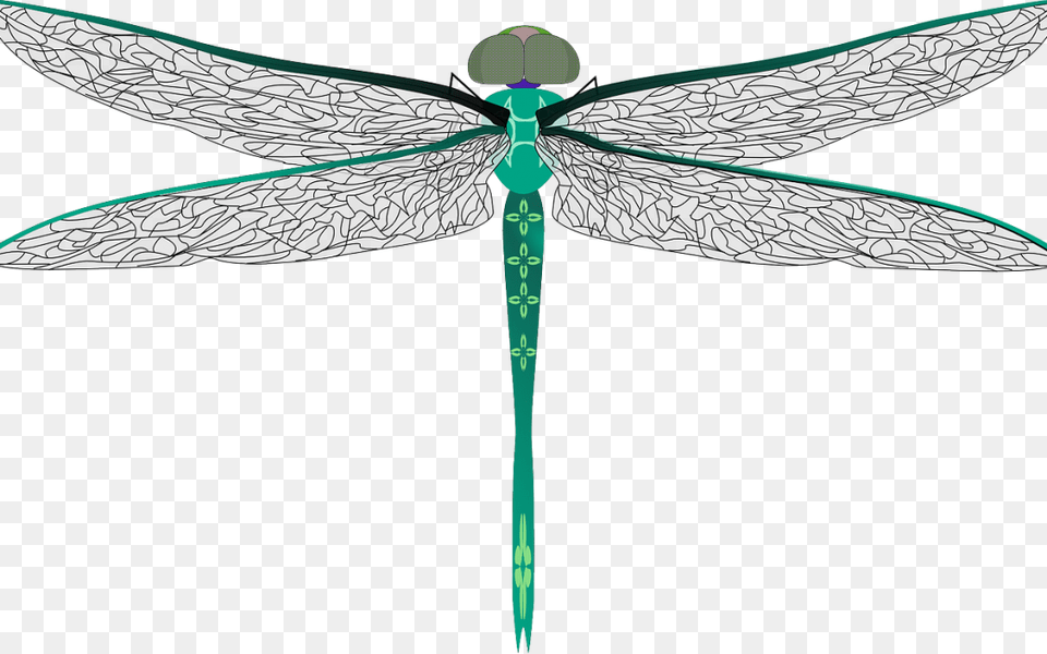 Clip Art Symbolism And Meaning Off Big Dragonfly Clipart, Animal, Insect, Invertebrate, Blade Png Image