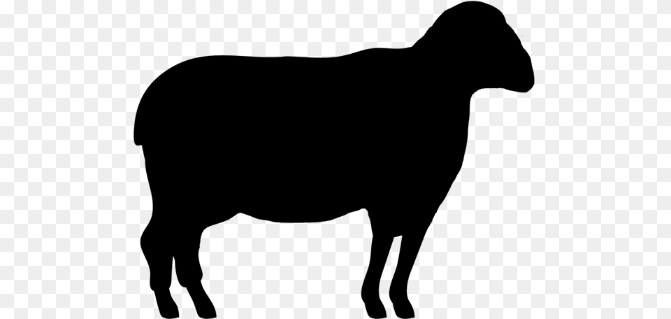 Clip Art Texas Longhorn Gyr Cattle Beef Cattle Highland Vaca Silhueta, Gray Png Image