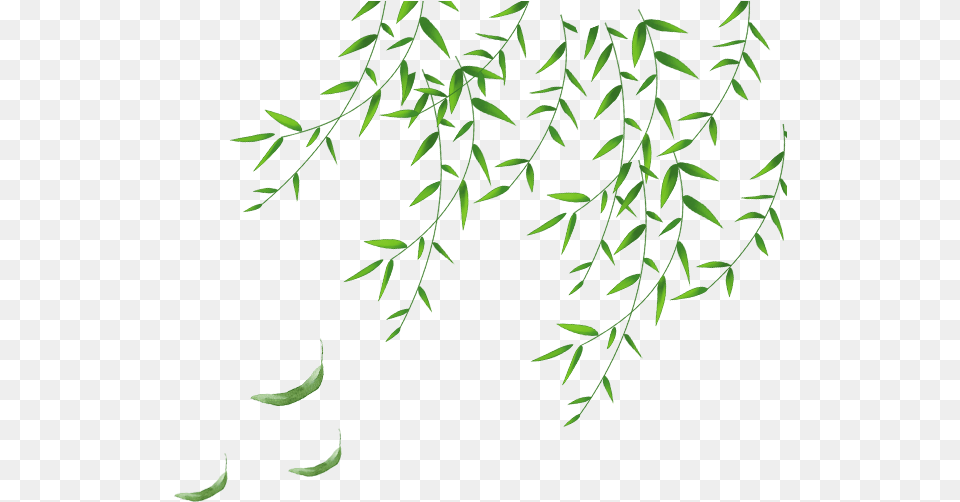 Clip Art The For Daun Hijau, Green, Leaf, Plant, Tree Png Image