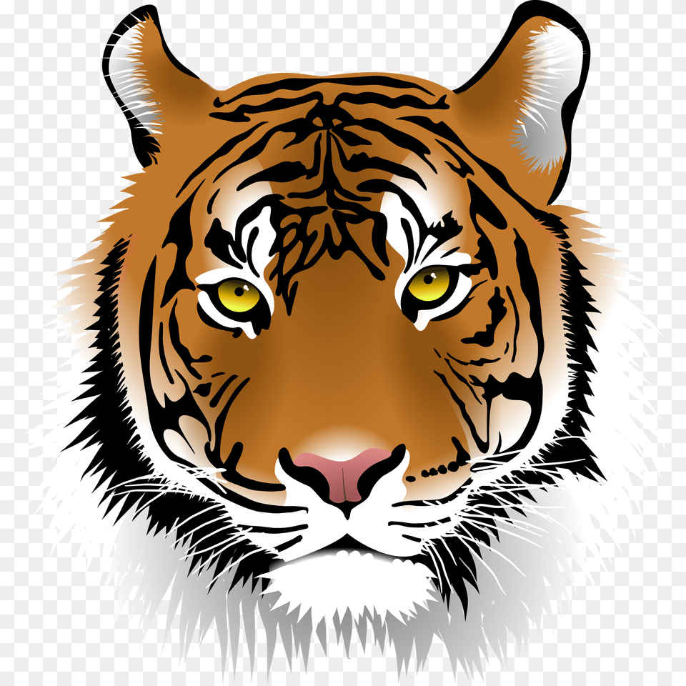 Clip Art Tigers Clip Art Png