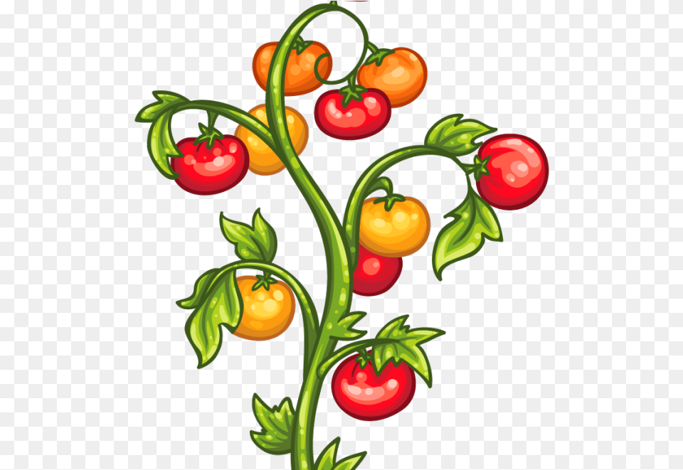 Clip Art Tomato Plant, Graphics, Pattern, Food, Produce Png
