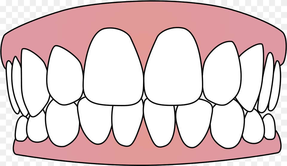 Clip Art Transparent Background Teeth, Body Part, Mouth, Person, Accessories Png