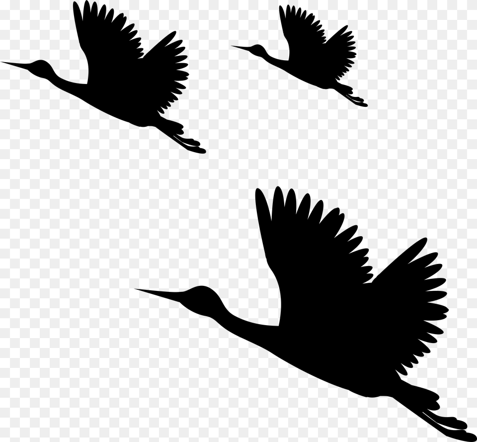 Clip Art Transparent Birds Silhouettes Art Gallery Picsart All Sticker, Gray Free Png Download