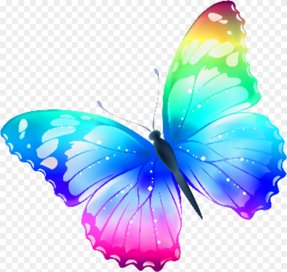 Clip Art Transparent Butterfly, Animal, Insect, Invertebrate Png