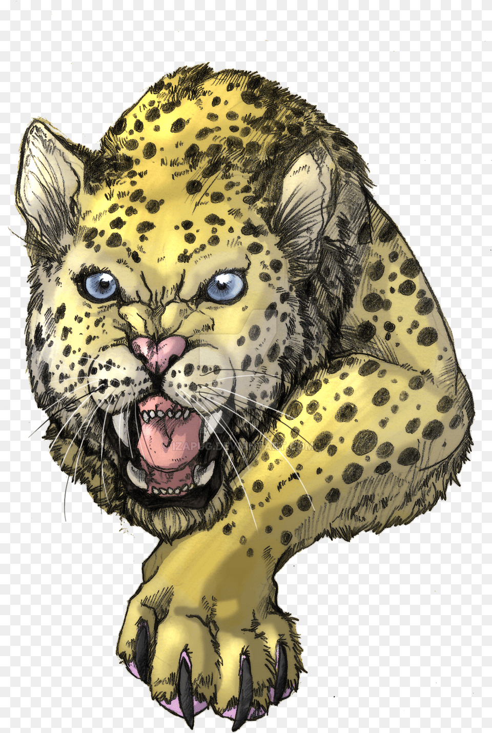 Clip Art Transparent Download Drawn Pencil And In Color Angry Leopard, Animal, Mammal, Panther, Wildlife Png Image