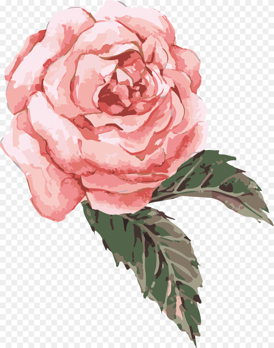 Clip Art Transparent Flower Painting Clip Art Hand Pink Watercolor Flower, Carnation, Plant, Rose, Person Free Png
