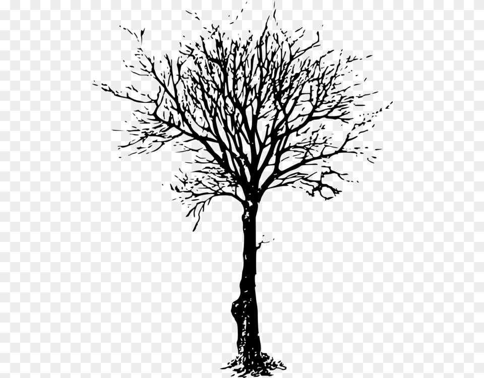 Clip Art Tree Branch Silhouette Leafless Tree, Gray Png Image
