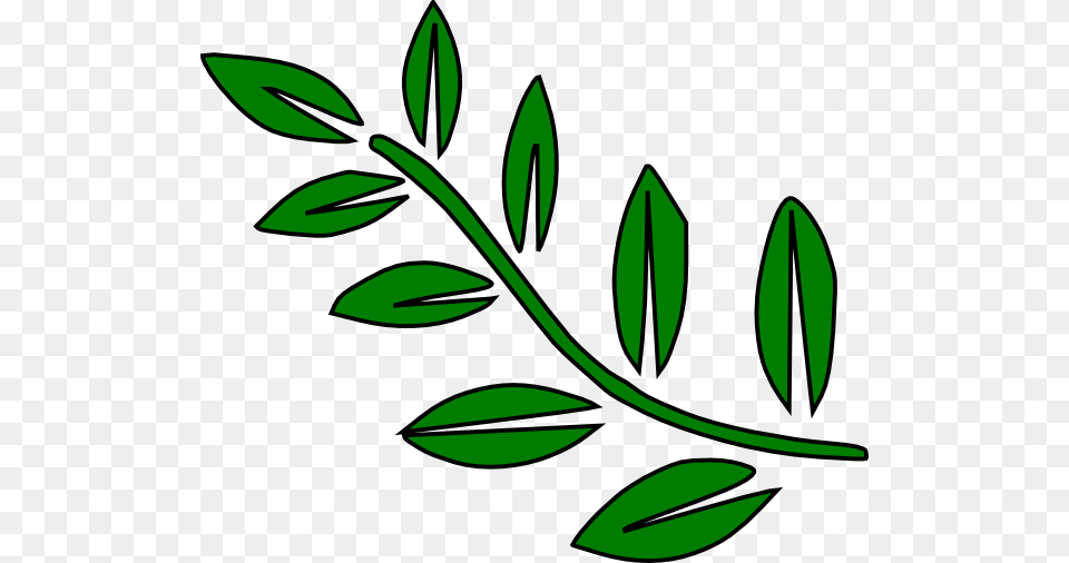 Clip Art Tree Branches, Herbal, Plant, Leaf, Herbs Png Image