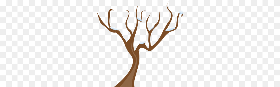 Clip Art Tree No Leaves, Plant, Antler, Outdoors, Animal Png