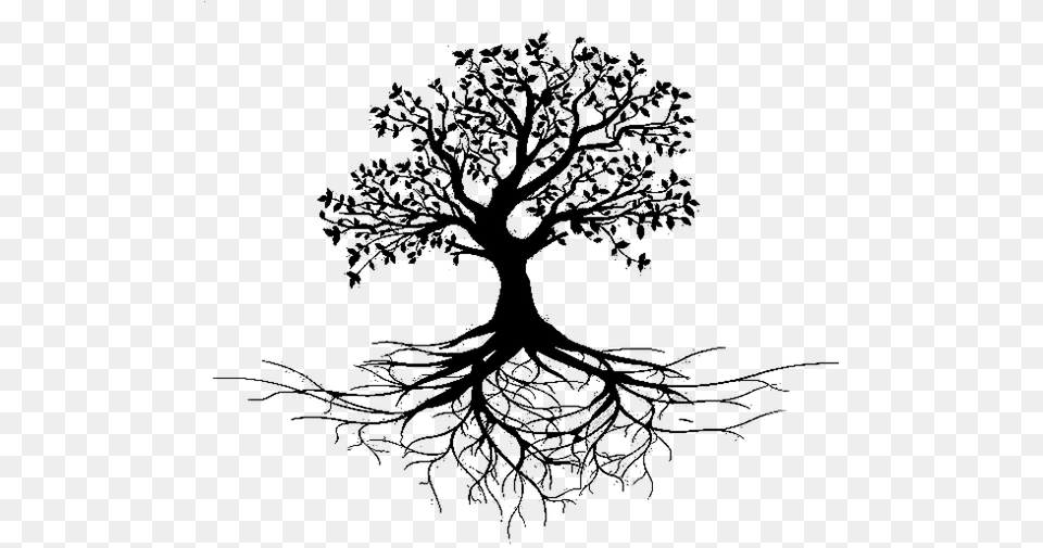 Clip Art Tree With Roots Black And White, Gray Free Png