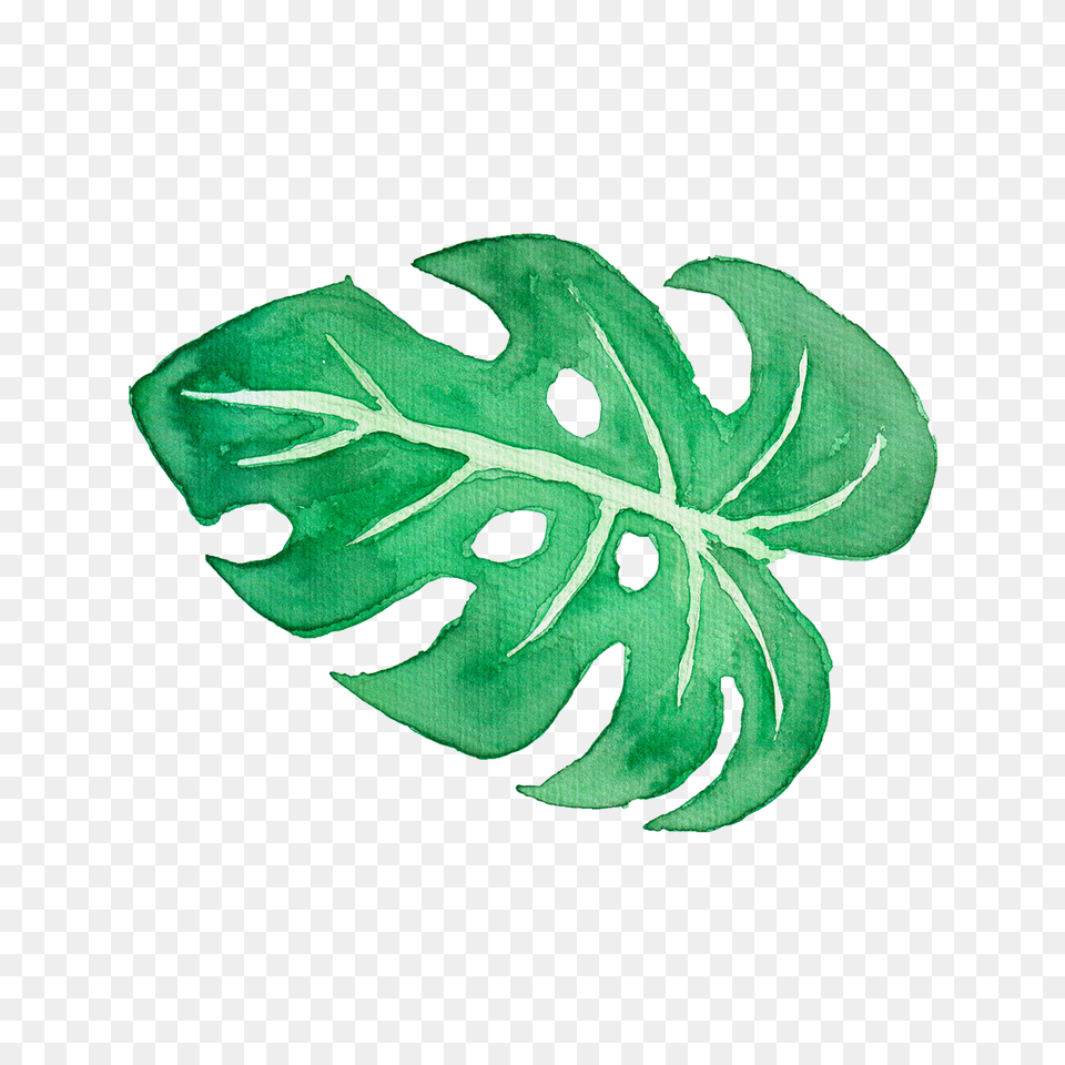 Clip Art Tropical Leaves, Leaf, Plant, Accessories Png