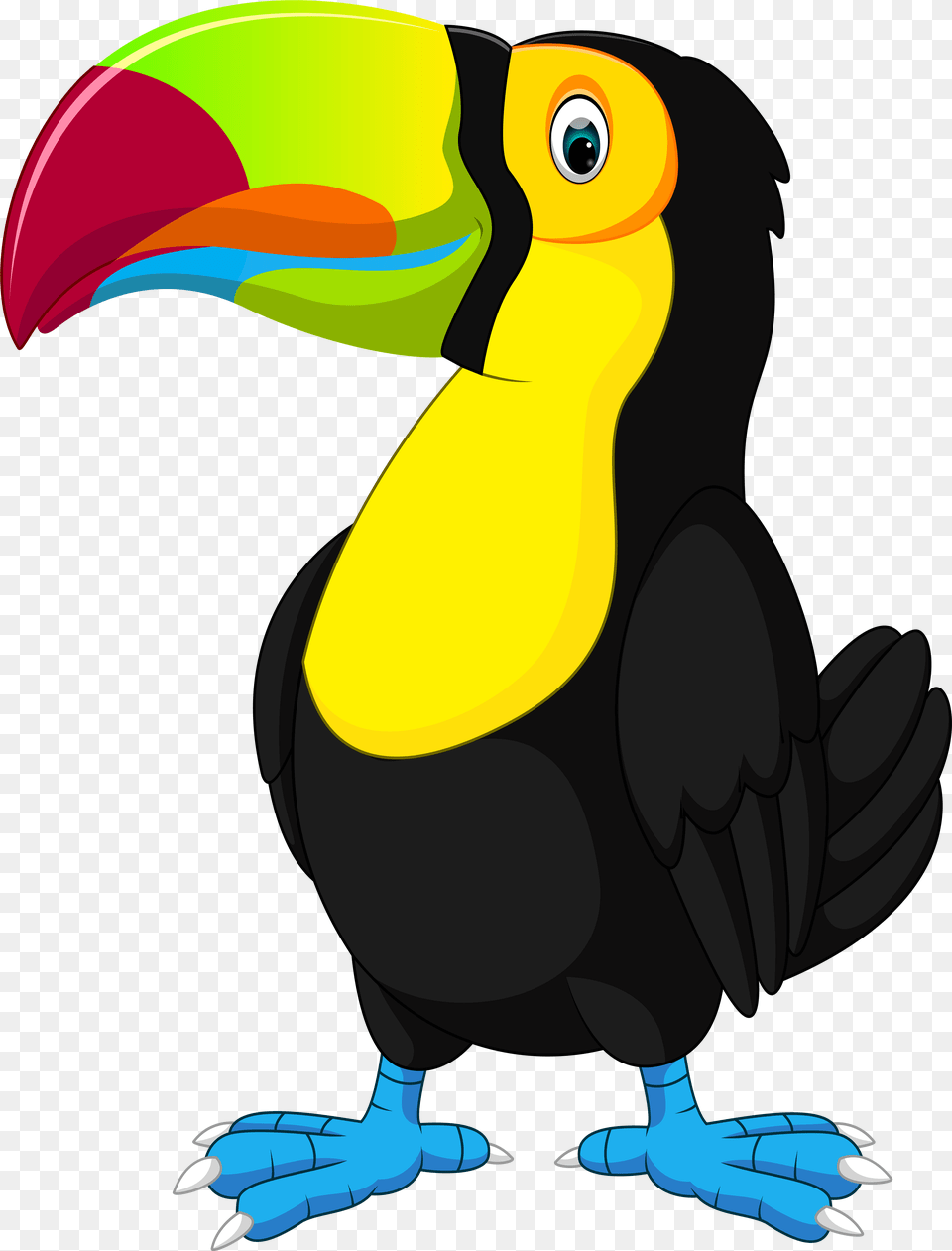 Clip Art Tucan Clipart, Animal, Beak, Bird, Toucan Free Png Download