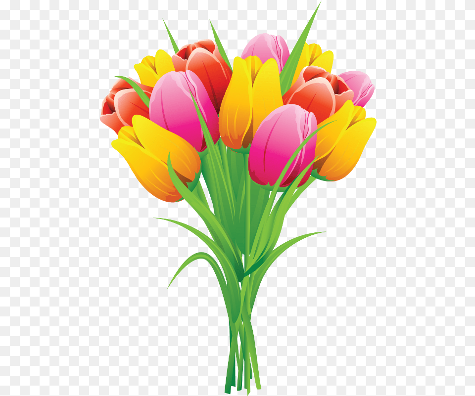 Clip Art Tulips Clipart, Flower, Flower Arrangement, Flower Bouquet, Plant Free Png Download