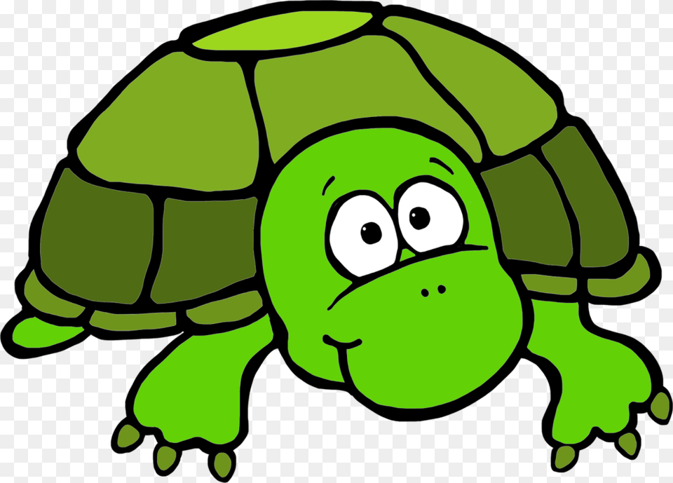 Clip Art Turtle, Animal, Tortoise, Sea Life, Reptile Png