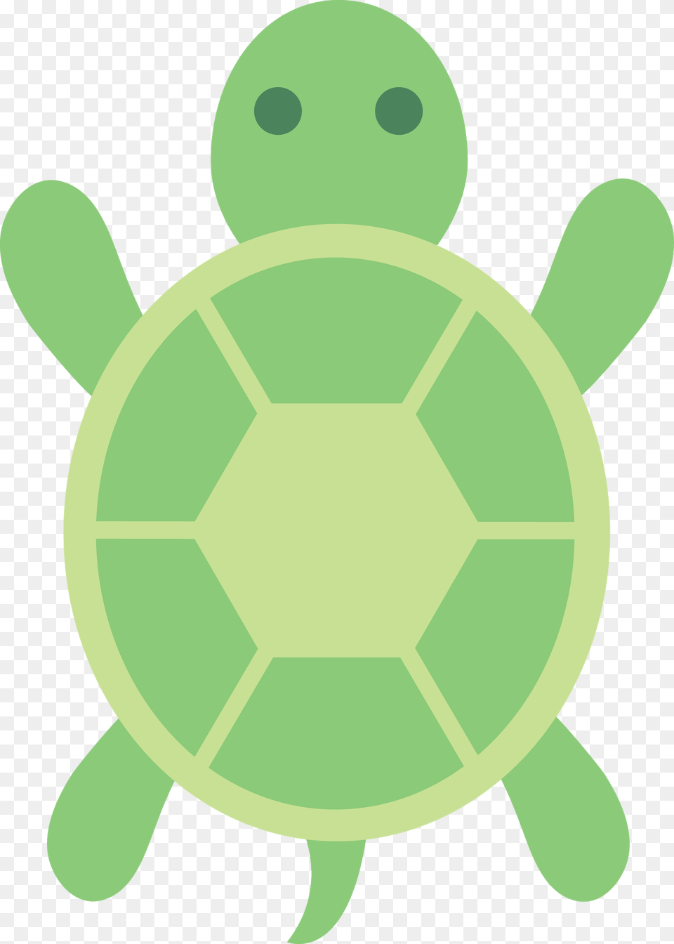 Clip Art Turtle, Animal, Tortoise, Reptile, Sea Life Free Png Download