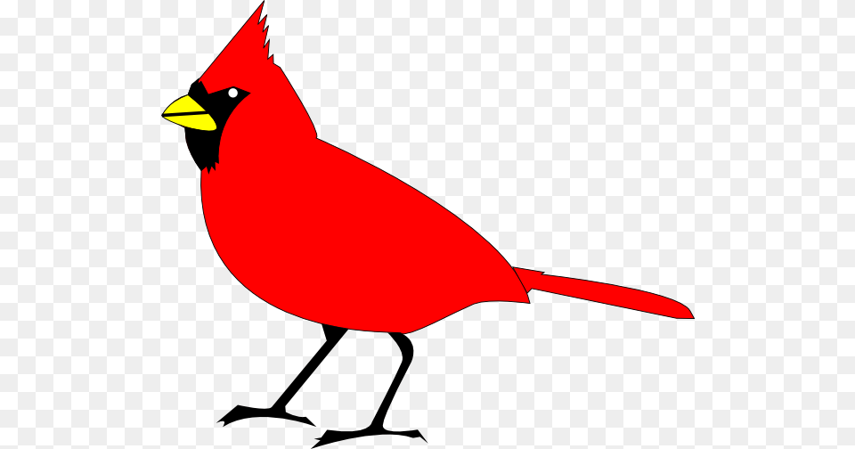 Clip Art Vector Design Of Cardinal Bird Has Been, Animal Free Png