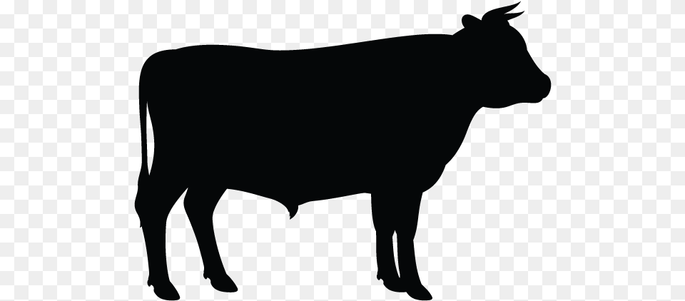 Clip Art Vector Graphics Angus Cattle Silhouette Holstein Cow Silhouette Vector, Animal, Bull, Mammal, Livestock Png