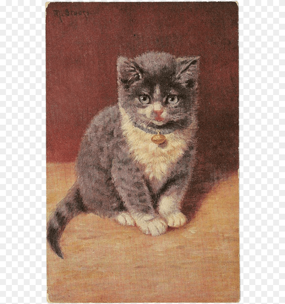 Clip Art Vintage Postcard Signed M Kitten, Painting, Animal, Cat, Mammal Free Png