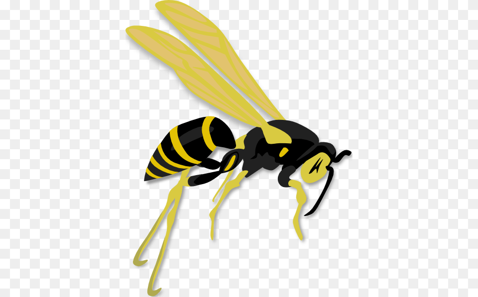 Clip Art Wasp, Animal, Bee, Insect, Invertebrate Free Png Download