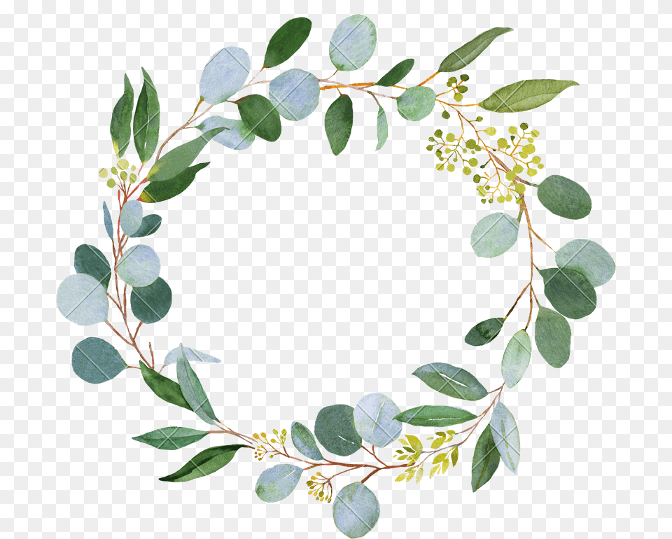 Clip Art Wedding Photos By Canva Watercolor Greenery, Plant, Leaf, Pattern, Floral Design Png Image