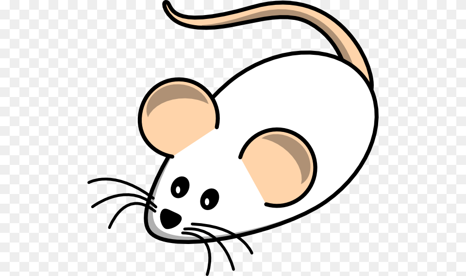Clip Art White Mouse, Animal, Mammal, Rodent, Rat Free Png Download