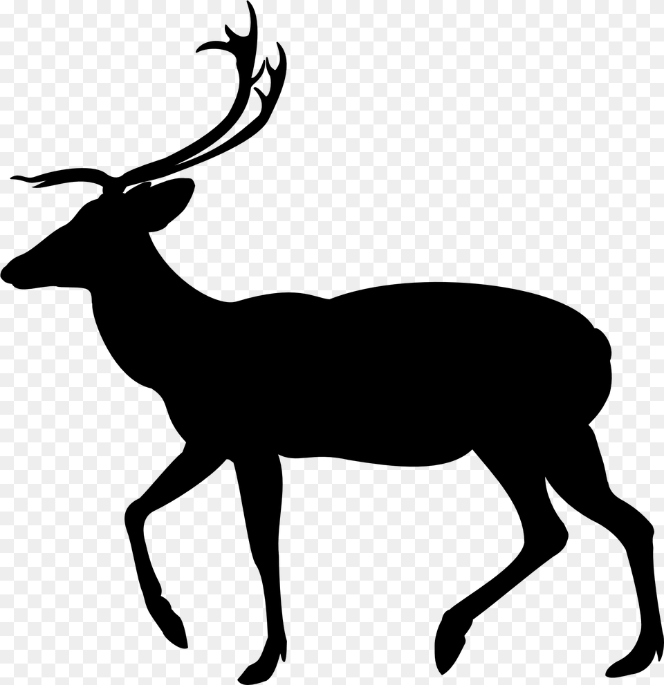 Clip Art White Tailed Deer Silhouette Moose Deer, Gray Png Image