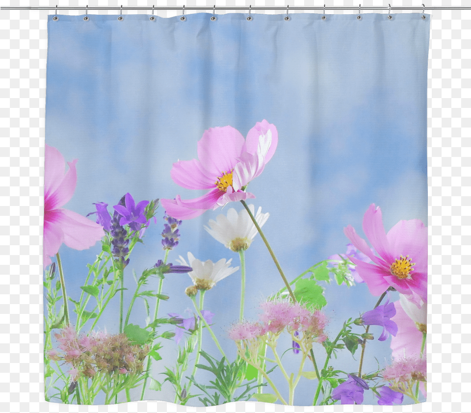 Clip Art Wild Flowers, Daisy, Flower, Petal, Plant Free Png Download