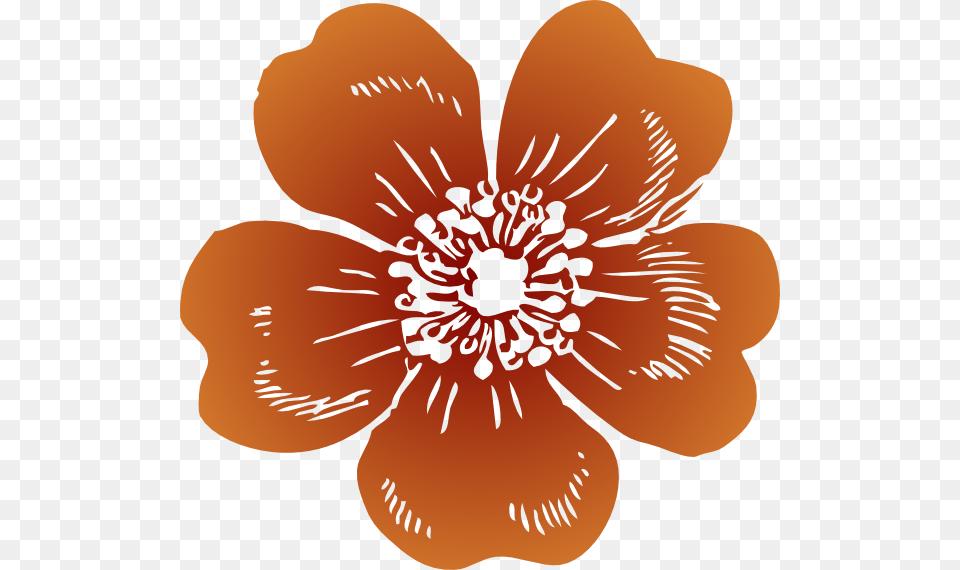 Clip Art Wild Rose, Anemone, Anther, Plant, Petal Png Image