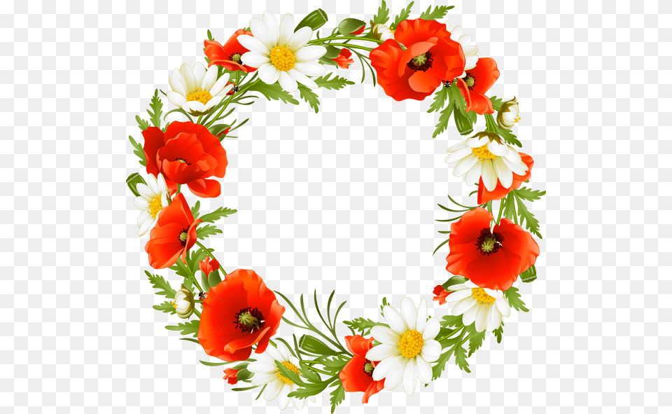 Clip Art Wreath Graphic Red Flower Wreath, Plant, Petal, Daisy, Floral Design Png